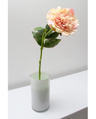 Peonia china 56cm, varios colores