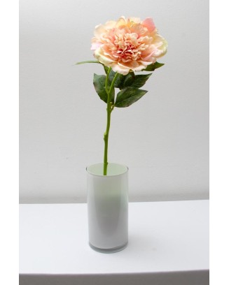 Peonia china 56cm, varios colores