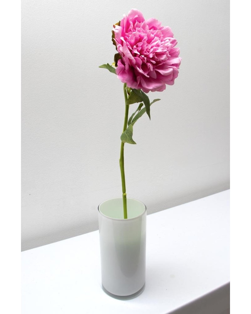 Peonia china 56cm, varios colores