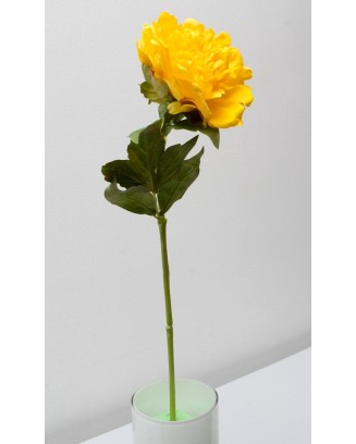 Peonia china 56cm, varios colores
