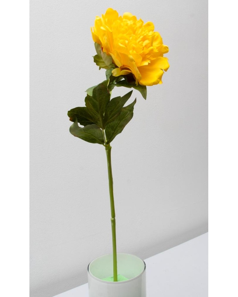 Peonia china 56cm, varios colores