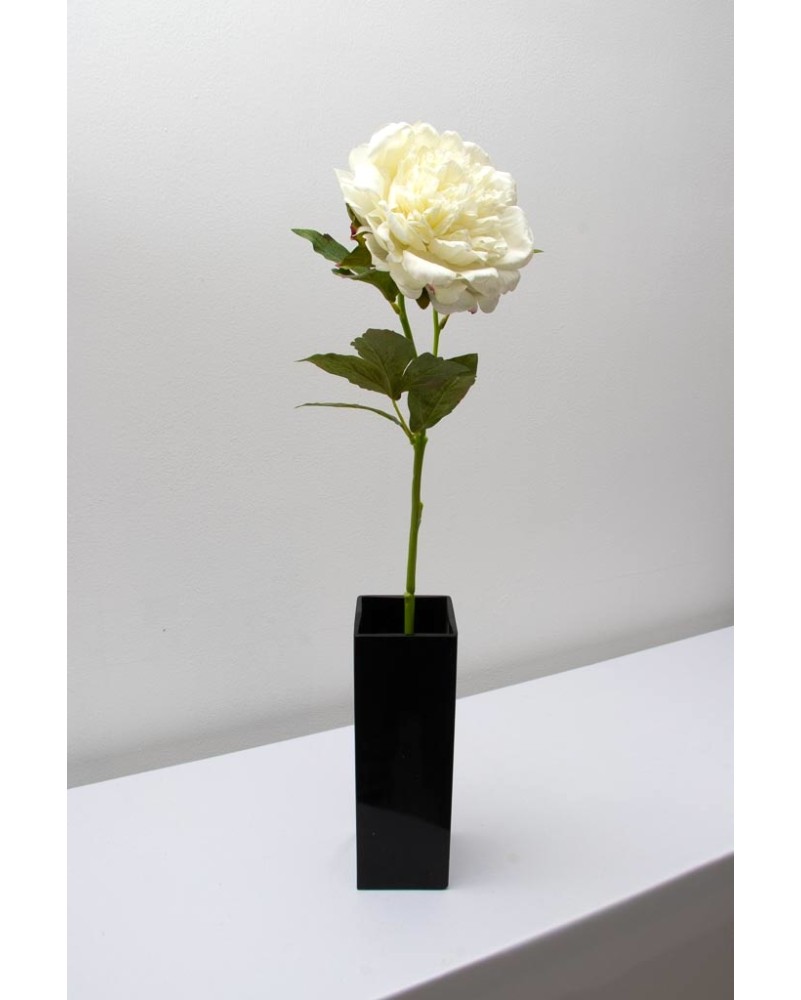 Peonia china 56cm, varios colores