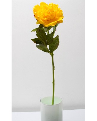 Peonia china 56cm, varios colores