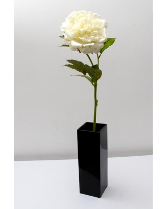 Peonia china 56cm, varios colores