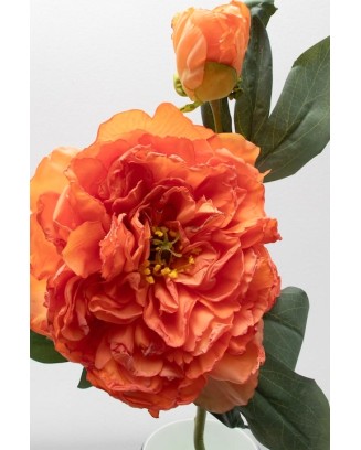 Peonia china con botón 40cm, varios colores