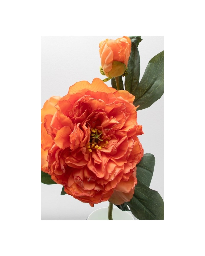 Peonia china con botón 40cm, varios colores
