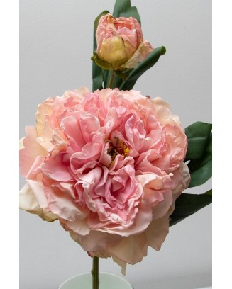 Peonia china con botón 40cm, varios colores
