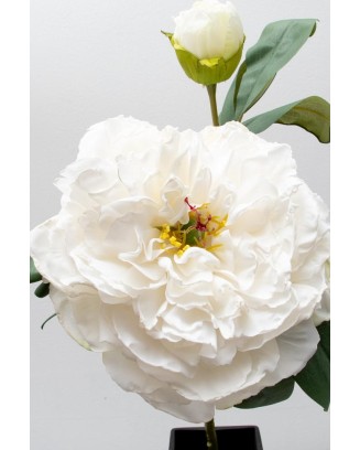 Peonia china con botón 40cm, varios colores
