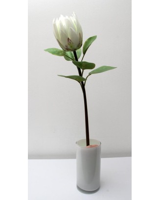 Vara de protea con hojas 65cm, varios colores