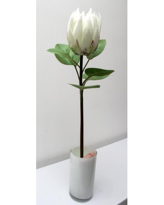 Vara de protea con hojas 65cm, varios colores