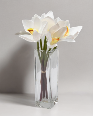 Ramillete de cymbidium, varios colores