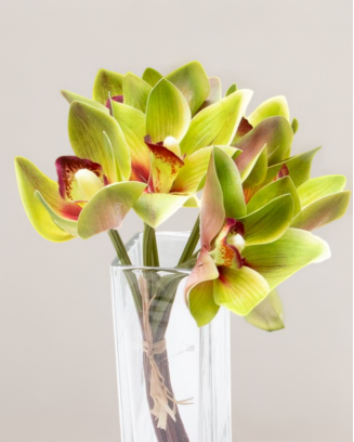 Ramillete de cymbidium, varios colores