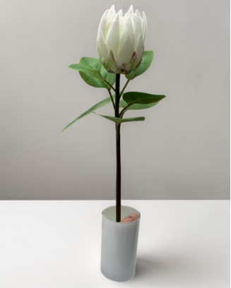 Vara de protea con hojas 65cm, varios colores