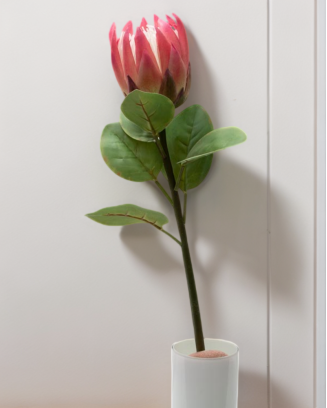 Vara de protea con hojas 65cm, varios colores