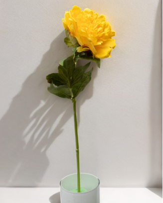 Peonia china 56cm, varios colores