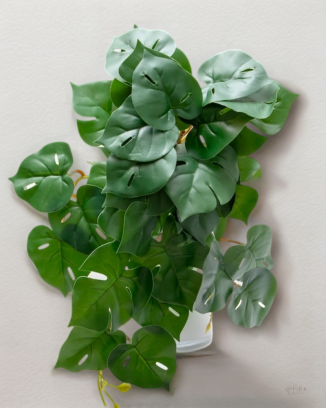 Colgante monstera 50cm...