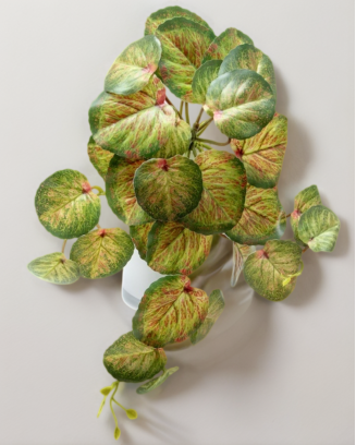 Colgante calladium bicolor 50cm soft touch