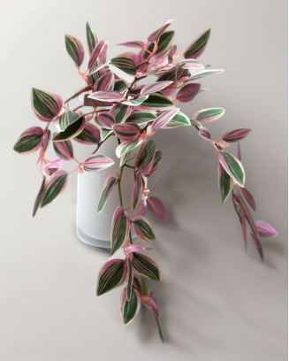 Colgante zebrina morada 40cm