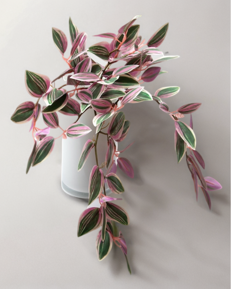 Colgante zebrina morada 40cm