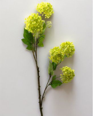 Vara de espumilla 80cm, varios colores