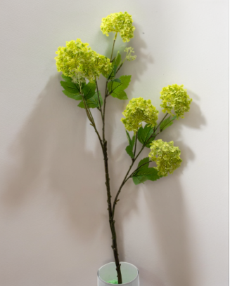 Vara de espumilla 80cm, varios colores