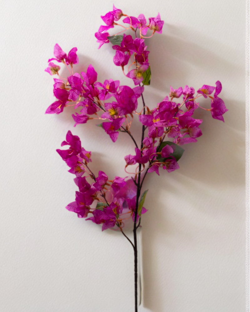Bugambilia peruviana 100cm, varios colores