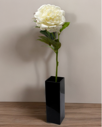 Peonia china 56cm, varios colores
