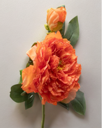 Peonia china con botón 40cm, varios colores