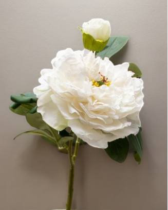 Peonia china con botón 40cm, varios colores