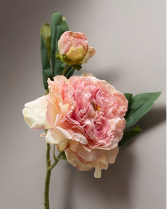 Peonia china con botón 40cm, varios colores
