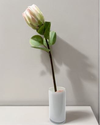 Vara de protea con hojas 65cm, varios colores