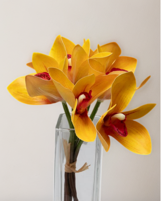 Ramillete de cymbidium, varios colores