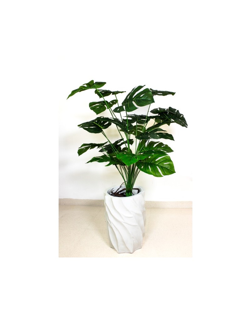 Planta monstera 105cm altura (sin maceta)