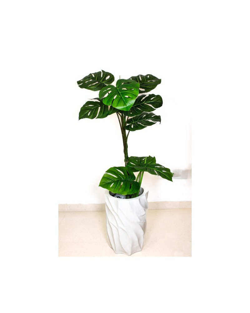Monstera garra de león 110cm altura