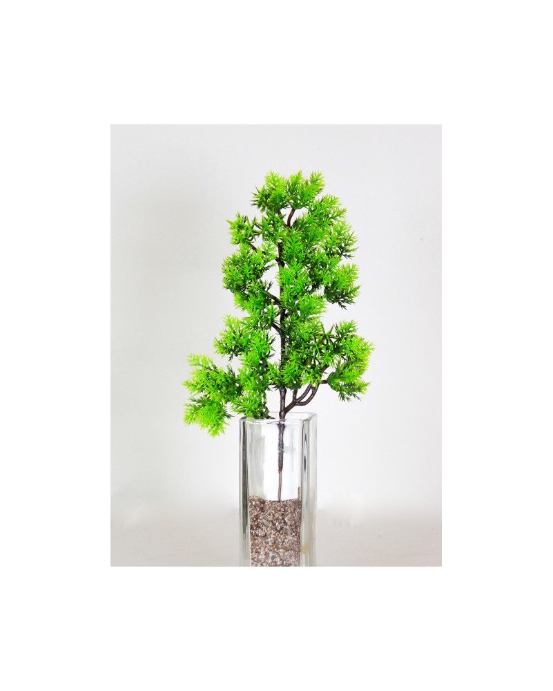 Follaje bonsai Asparagus 33cm