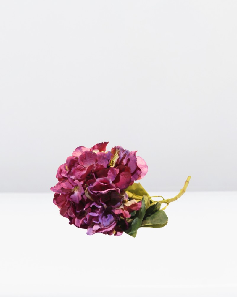 Hortensia wild 22cm diámetro, varios colores