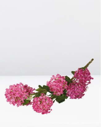 Vara de espumilla 80cm, varios colores