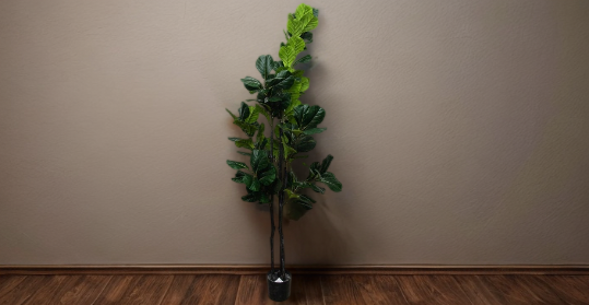 Árboles de más de 200 cm De Altura