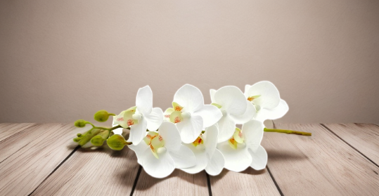 Orquídeas artificiales